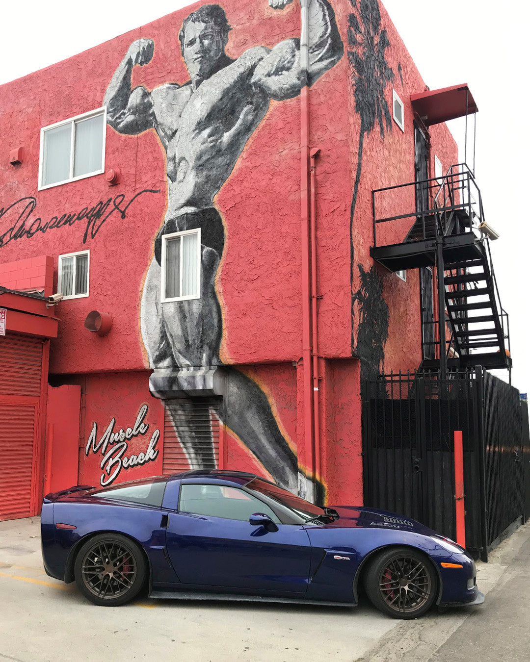 Bronze-Corvette